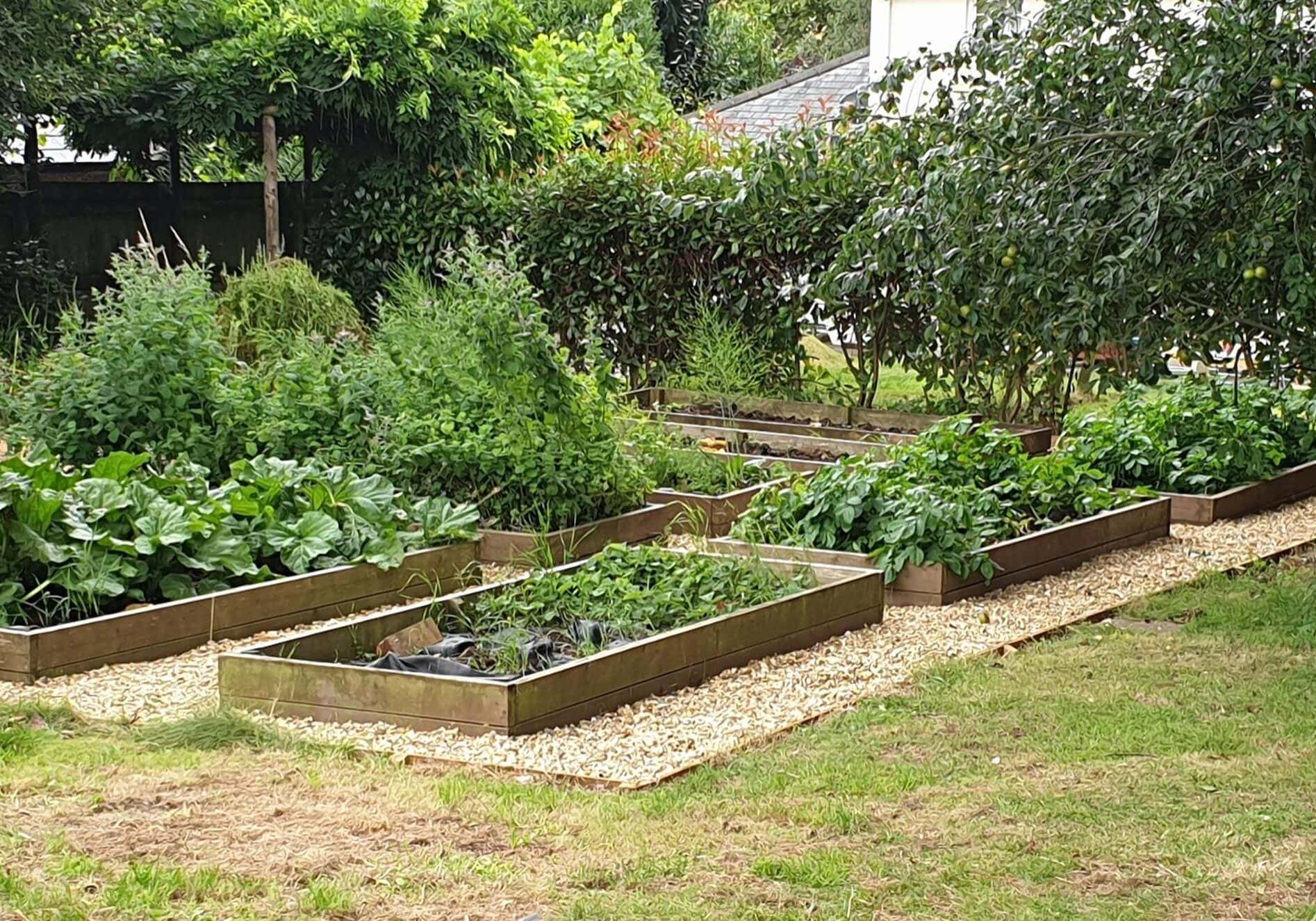 St Leonards Garden Terracing